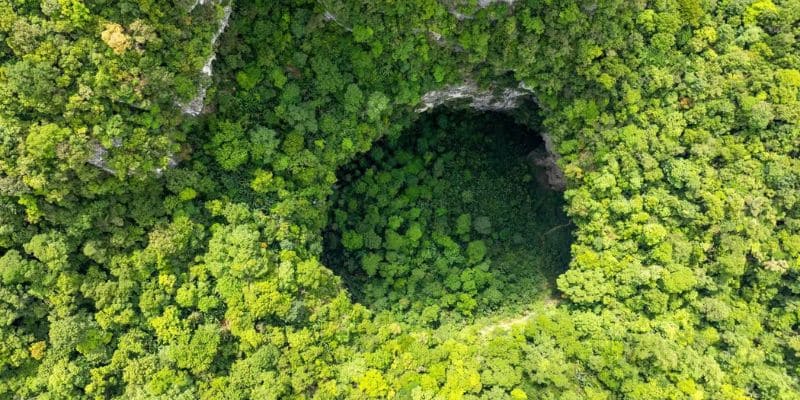 Hang có hệ sinh thái động thực vật cực kỳ đa dạng