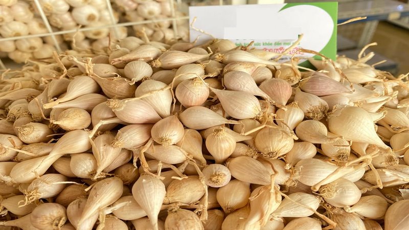 Hành tỏi Lý Sơn mua về làm gia vị nấu ăn