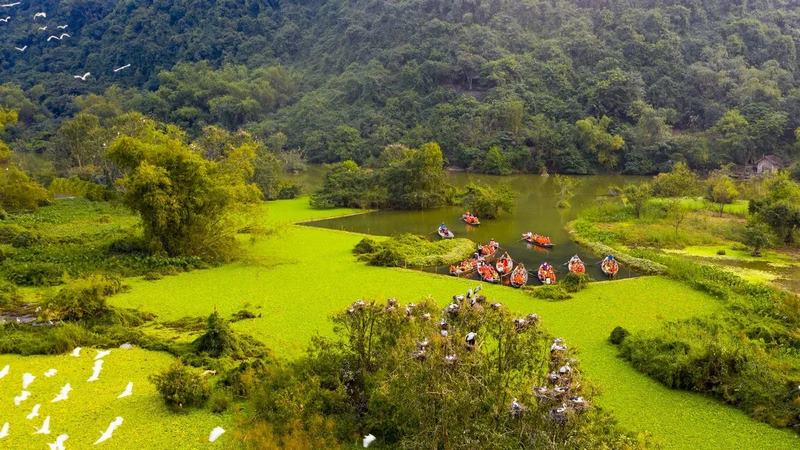 Hệ sinh thái trù phú của Thung Nham - Vườn Chim