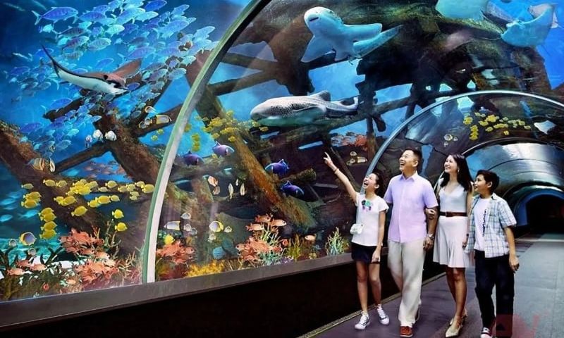 Hệ thống thủy cung với hàng nghìn loài cá