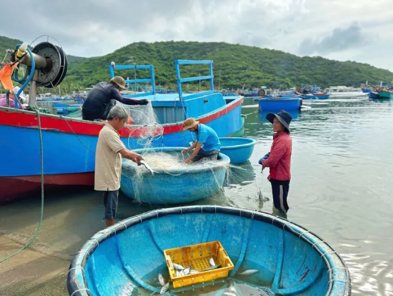 Hình ảnh làng chài Vĩnh Hy
