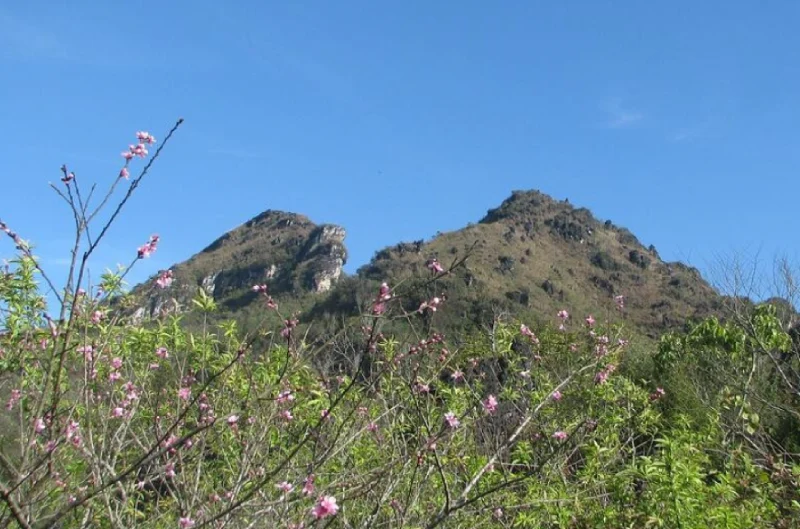 Hình ảnh núi Hàm Rồng