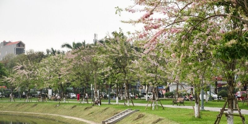 Mọi người có thể lựa chọn đi dạo quanh hồ với không gian cây xanh tươi mát