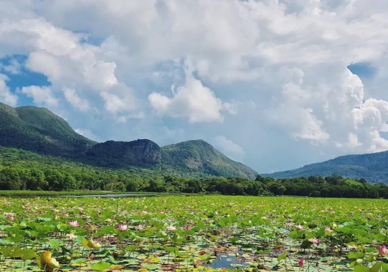 Hồ nước ngọt An Hải