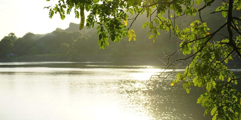 Hồ mang cảnh sắc núi rừng vô cùng thơ mộng