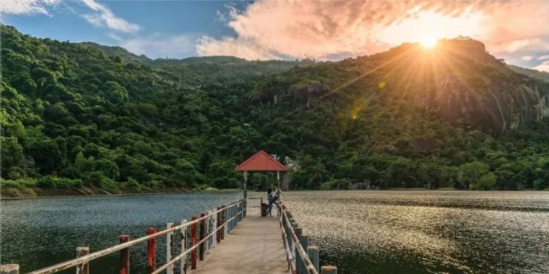 Cầu gỗ là nơi giúp bạn nhìn ngắm bao quát toàn bộ cảnh hồ