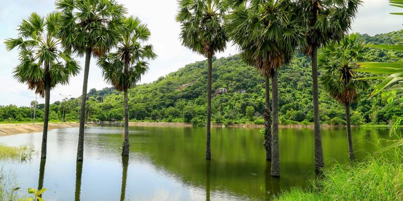 Kinh nghiệm du lịch An Giang được chia sẻ chi tiết nhất