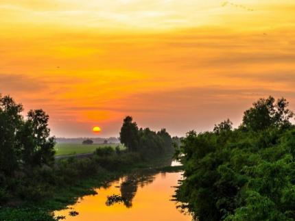 Rừng Tràm Trà Sư - Điểm Du Lịch Thanh Bình Rời Xa Phố Thị