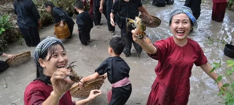 Hoạt động bắt cá tay không của du khách