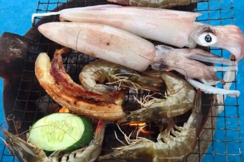 Hoạt động câu mực đêm