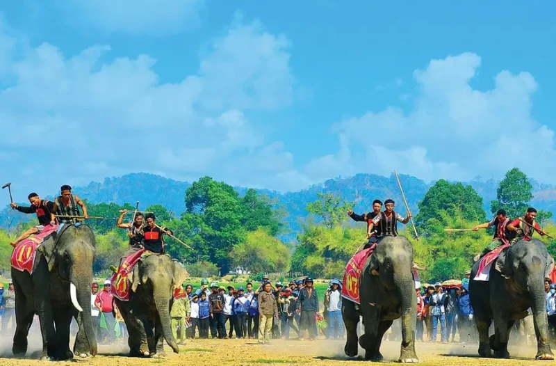 Hoạt động cưỡi voi được nhiều du khách yêu thích khi đến Buôn Đôn