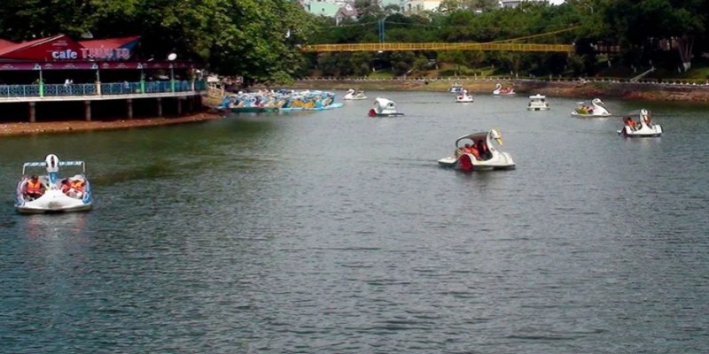 Hoạt động đạp thiên nga giữa hồ