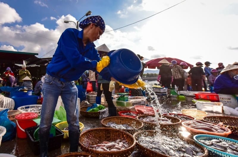 Chợ hải sản Hòn Gai lâu đời, đa dạng hải sản