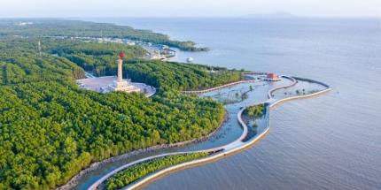 Mũi Cà Mau - Cập Nhật Cẩm Nang Du Lịch Cực Nam Chi Tiết