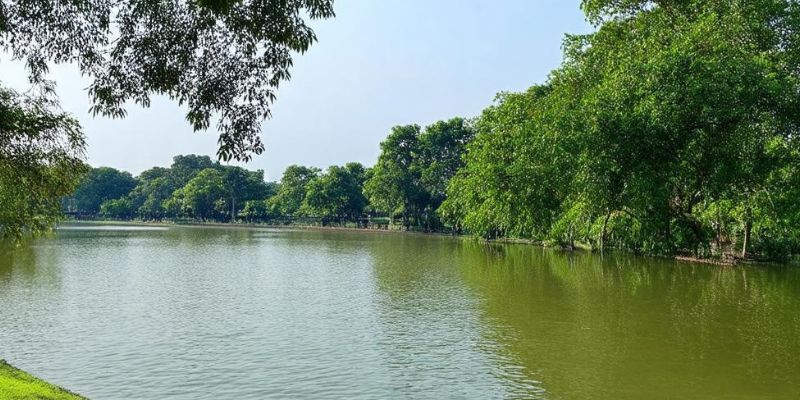 Không khí tại công viên Nguyễn Văn Cừ luôn rất mát mẻ