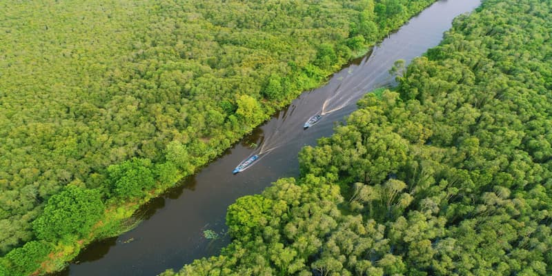 Ngửi mùi thơm đến si mê khi dạo quanh vườn tràm