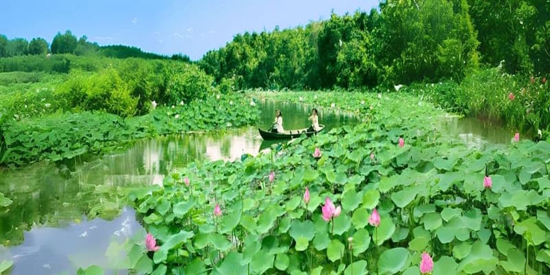 Chèo thuyền ba lá như dân miền Tây thứ thiệt