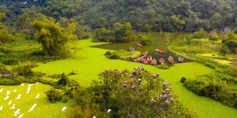 Khu du lịch Thung Nham Vườn Chim rộng đến 334 ha