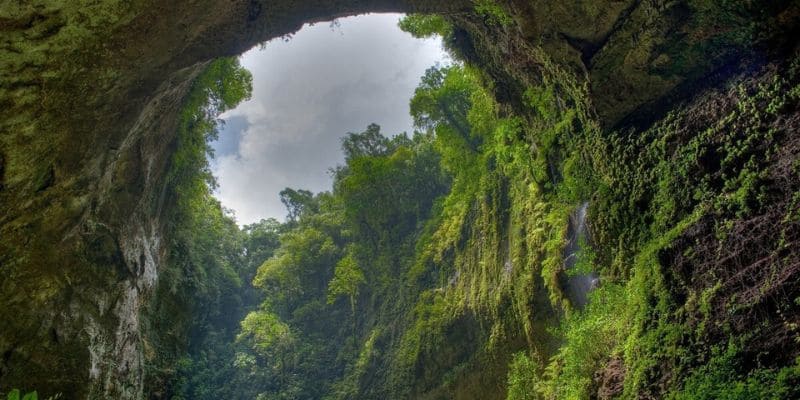 Khu vườn địa đàng như cổ tích ở hố sụt 2