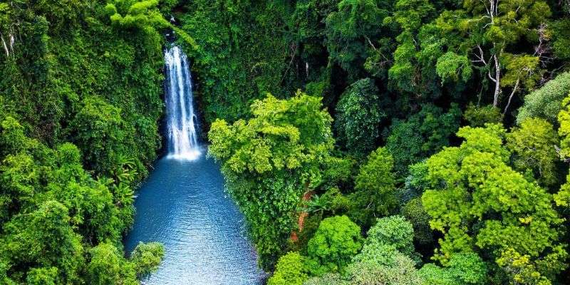 Khung cảnh thác Pa Sỹ giữa núi rừng Măng Đen