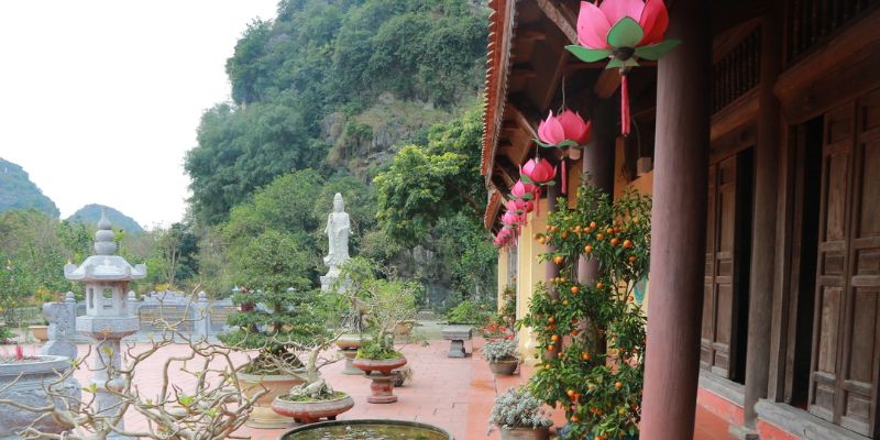 Cảnh tượng thanh tịnh trong khuôn viên chùa 