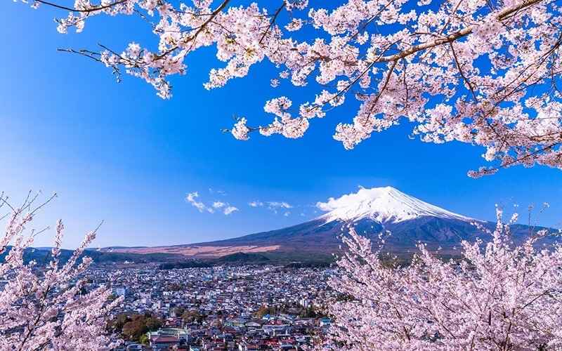 Kinh nghiệm đi du lịch Nhật Bản tự túc khuyên chọn mùa xuân