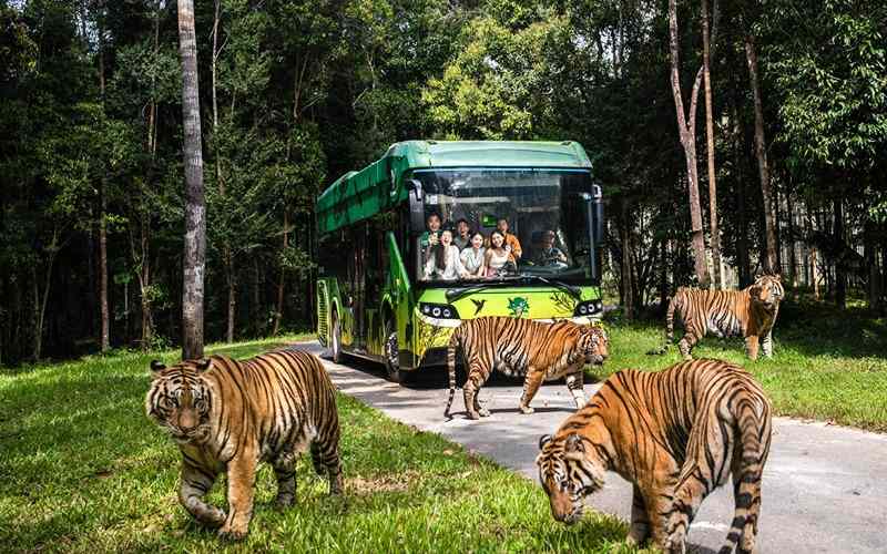 Vinpearl Safari công viên động vật hoang dã với hươu cao cổ, tê giác