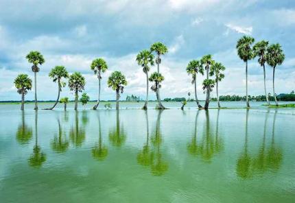 Kinh Nghiệm Du Lịch Miền Tây Tự Túc - Khám Phá Từ A - Z