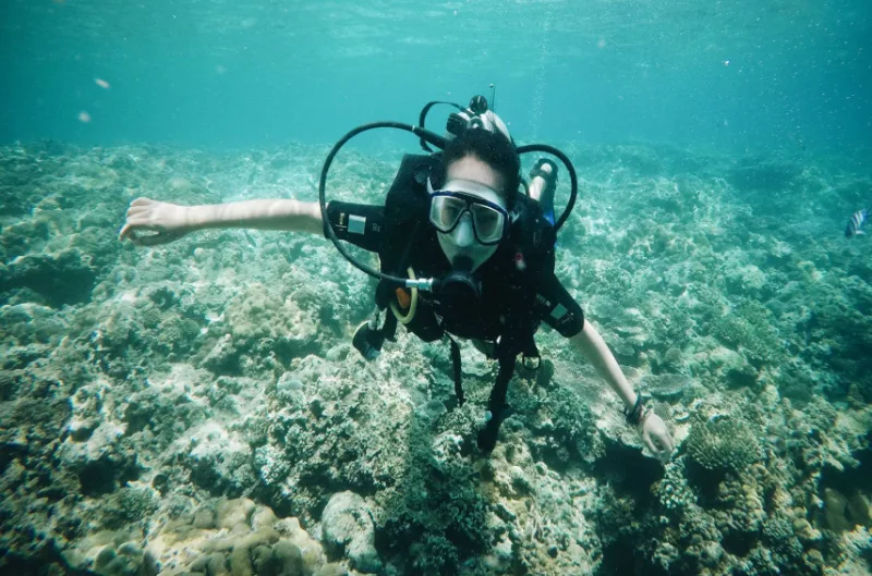 Lặn biển ngắm nhìn san hô