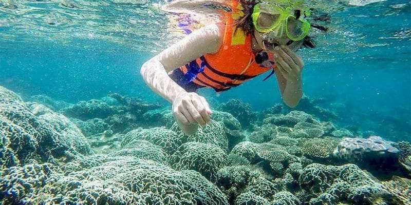 Lặn ngắm san hô Bình Tiên