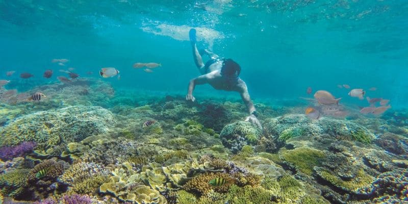 Lặn xuống ngắm nhìn những rạn san hô hấp dẫn