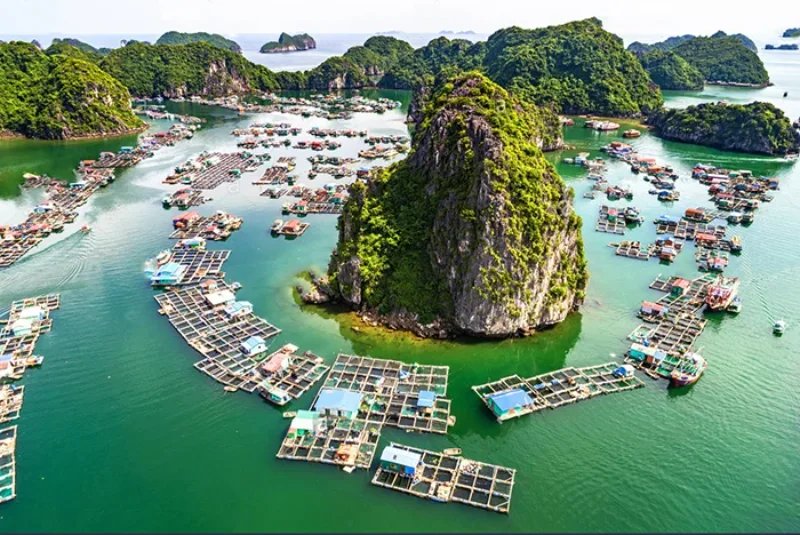 Explore the rustic beauty of the floating village