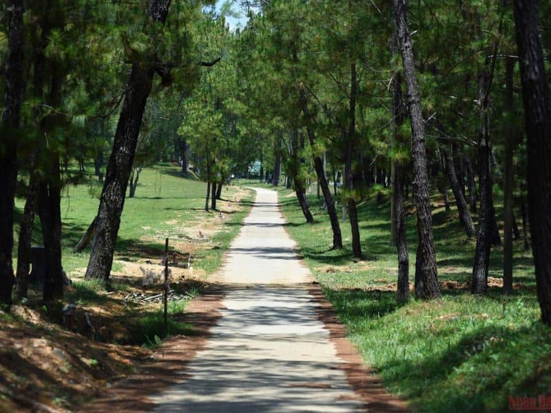 Lối vào Thiên Thọ Lăng cây xanh tươi mát