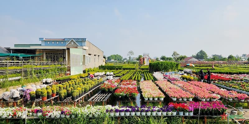 Thời gian đầu sơ khai hình thành làng hoa