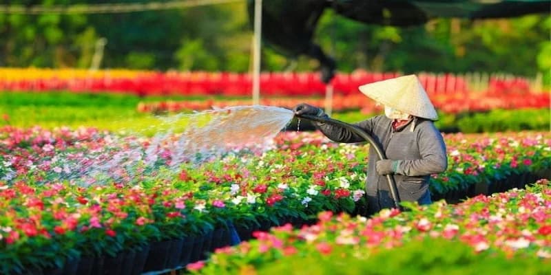 Làng hoa đem tới giá trị du lịch và kinh tế cực cao