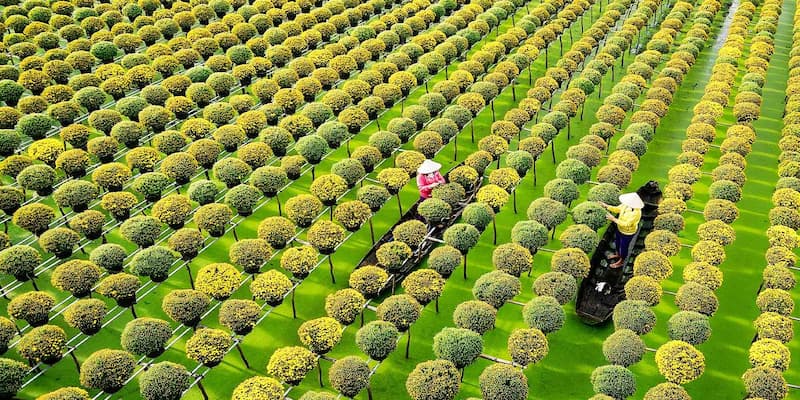 Làng hoa đem tới những trải nghiệm đa chiều cho khách tham quan