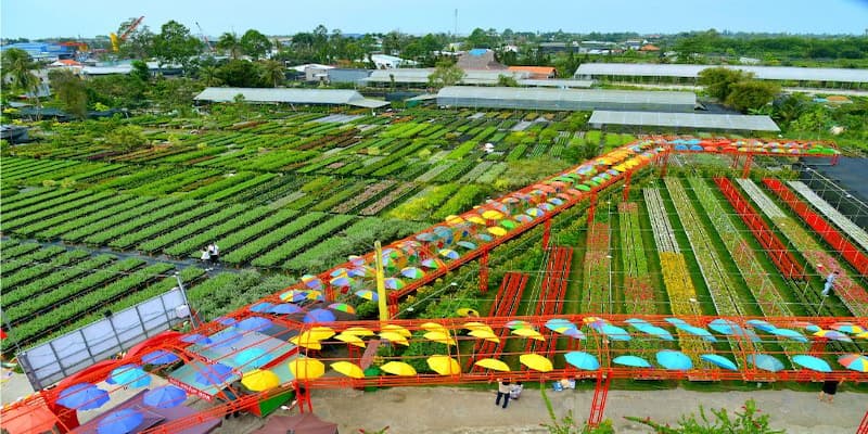 Ghé tham quan làng hoa vào trước tết để tối ưu trải nghiệm