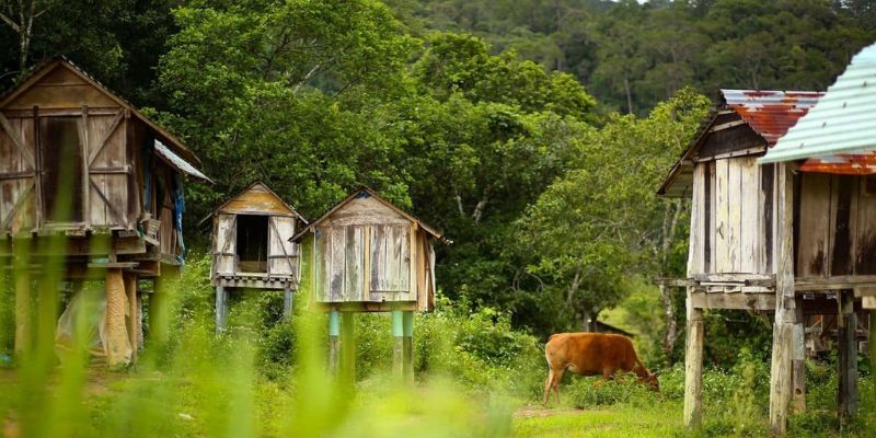 Tham quan làng Kon Tu Rằng bình yên, lưu giữ bản sắc văn hóa Mơ Nâm