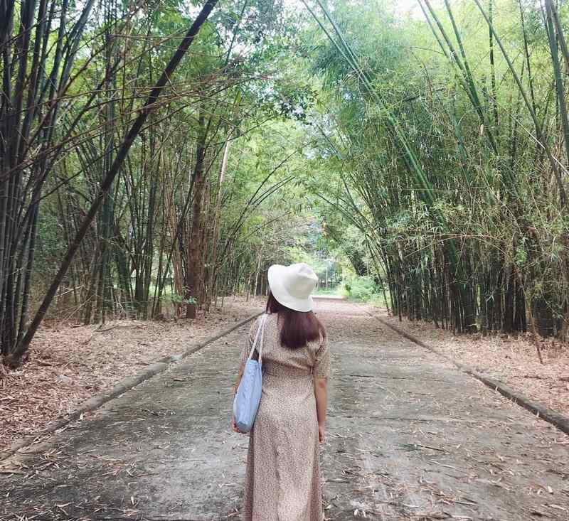 Làng Tre Phú An ở đâu? Cách di chuyển thuận tiện
