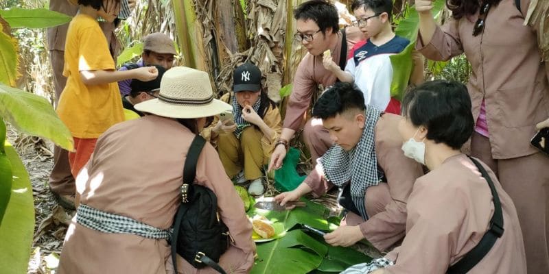 Lấy mật ong ăn tại vườn, đảm bảo tươi ngon nhất