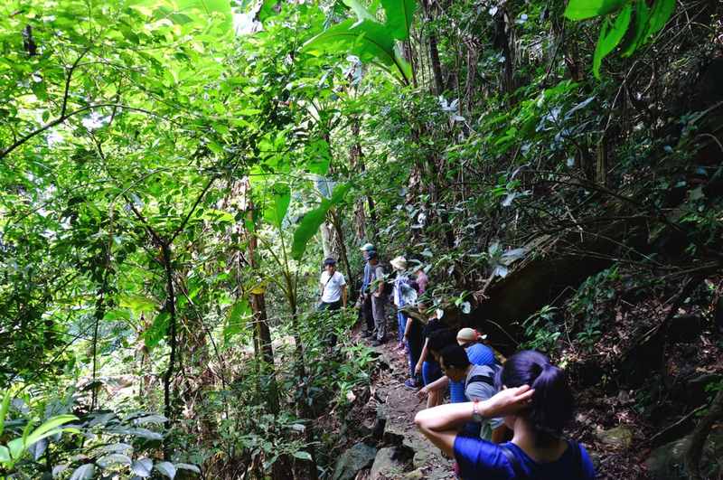 3. Đường mòn từ vườn quốc gia Ba Vì