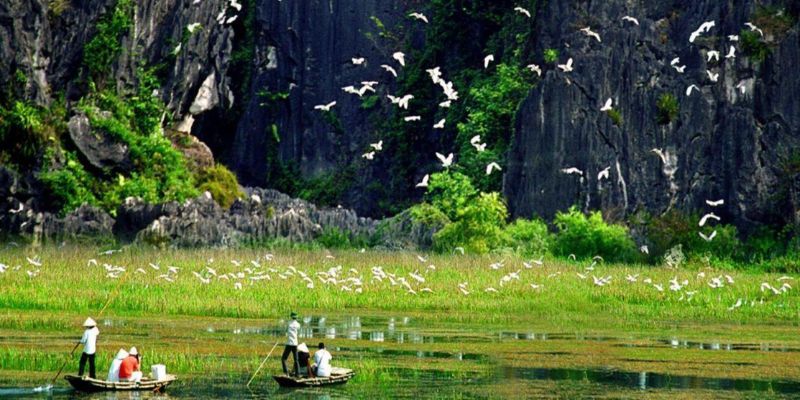 Bạn có thể đi Thung Nham Vườn Chim quanh năm