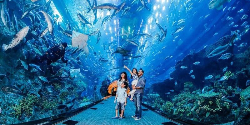 Hãy theo sát trẻ nhỏ để có chuyến khám phá Viện Hải dương học an toàn