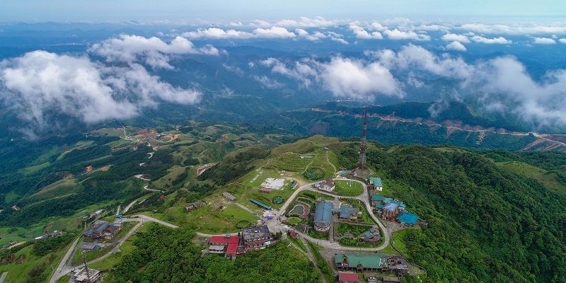 Ruộng bậc thang mùa lúa chín rực rỡ dưới ánh nắng hè