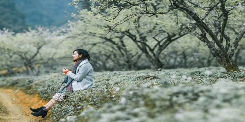 Ghé thăm Mộc Châu vào mùa đông