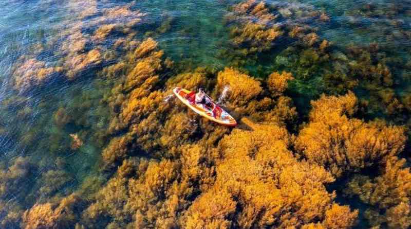 Mùa khô có biển êm, nắng vàng