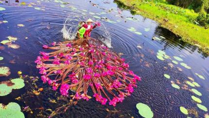 Làng Nổi Tân Lập - Cẩm Nang Du Lịch Hữu Ích Cho Bạn