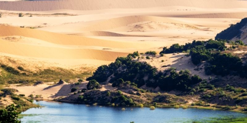 Đồi cát Nam Cương rộng lớn với những cung đường đầy cát