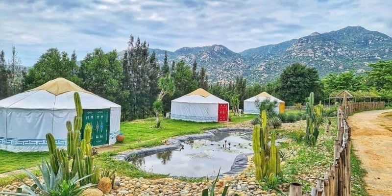 Khu du lịch Tanyoli với nhà lều kiểu Mông Cổ và cánh đồng cừu đáng yêu