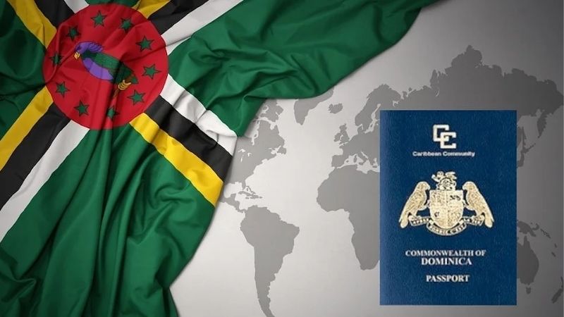 Đảm bảo bạn hiểu quy trình xin visa và các quy định liên quan